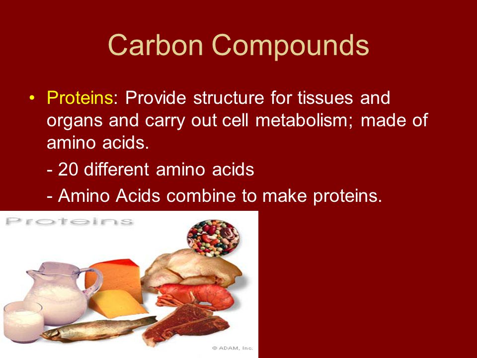Carbon Compounds Proteins: Provide structure for tissues and organs and carry out cell metabolism; made of amino acids.