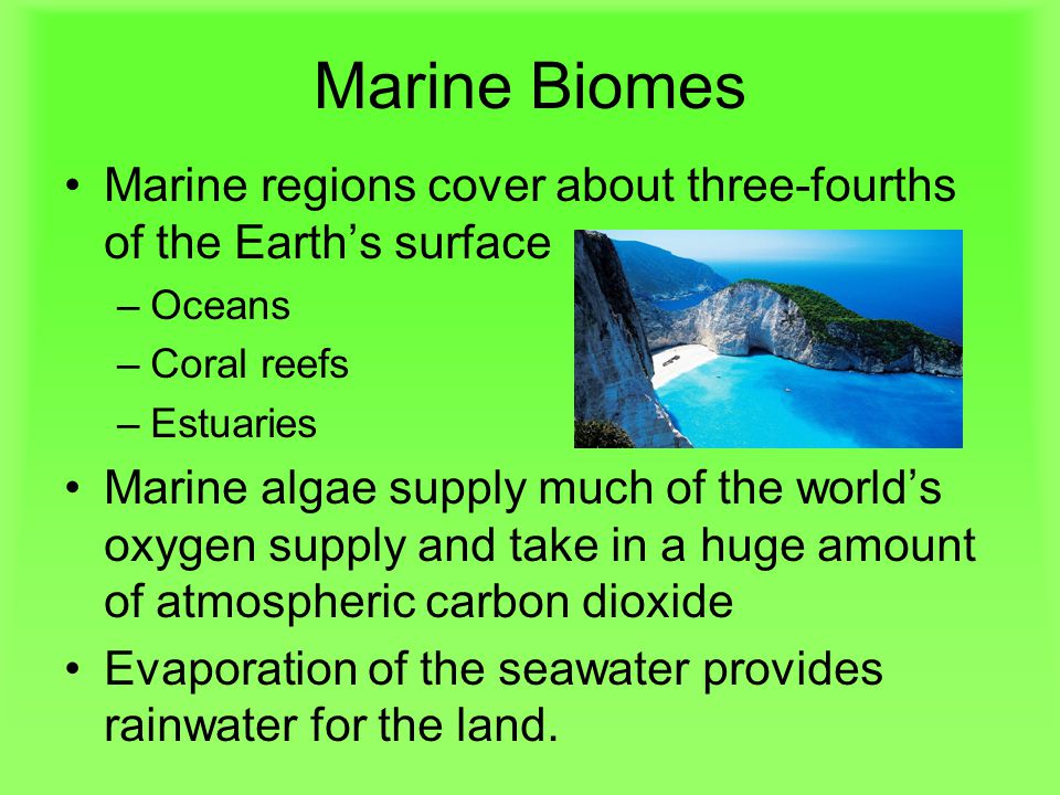 Marine Biomes Marine regions cover about three-fourths of the Earth’s surface. Oceans. Coral reefs.