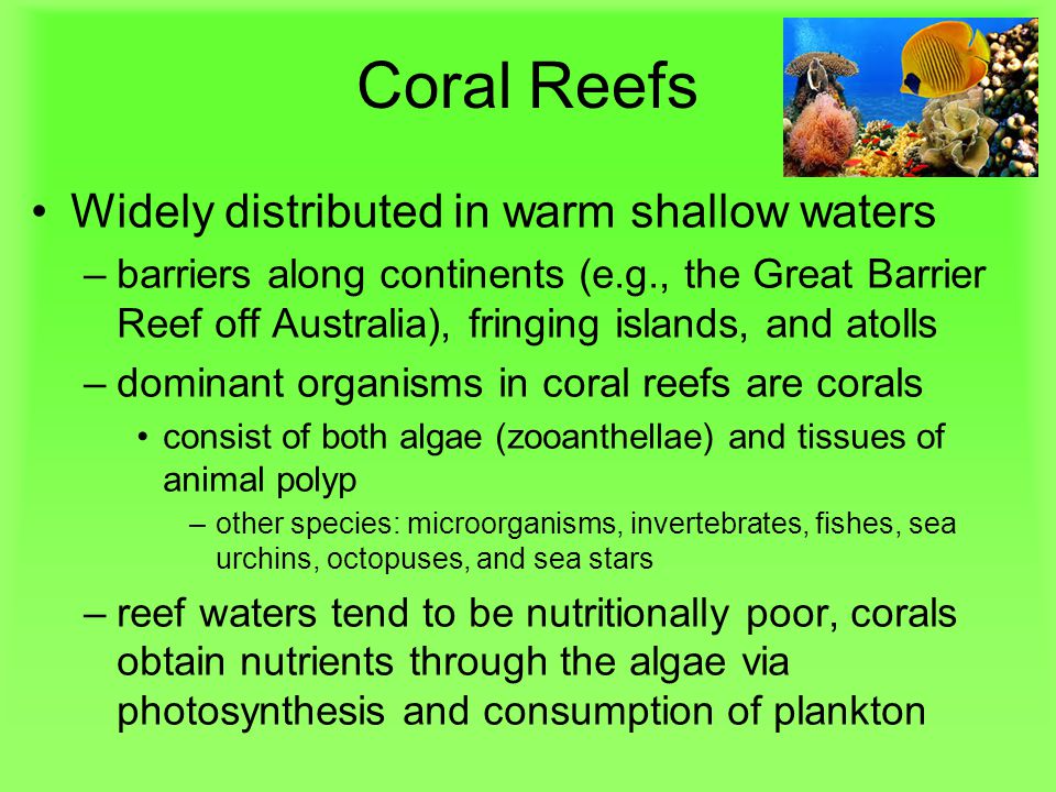 Coral Reefs Widely distributed in warm shallow waters