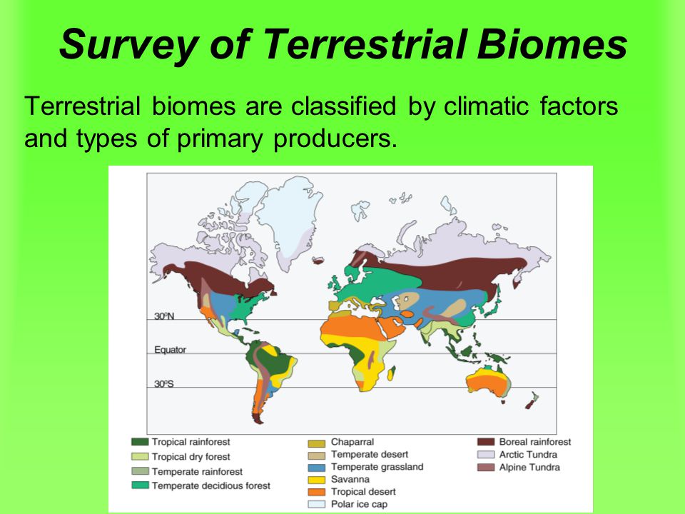 Survey of Terrestrial Biomes