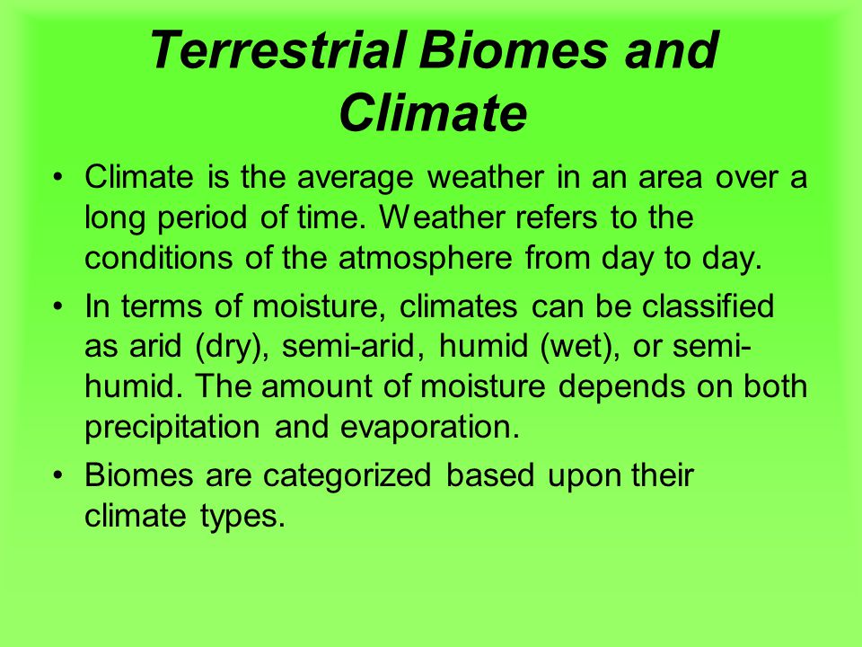 Terrestrial Biomes and Climate