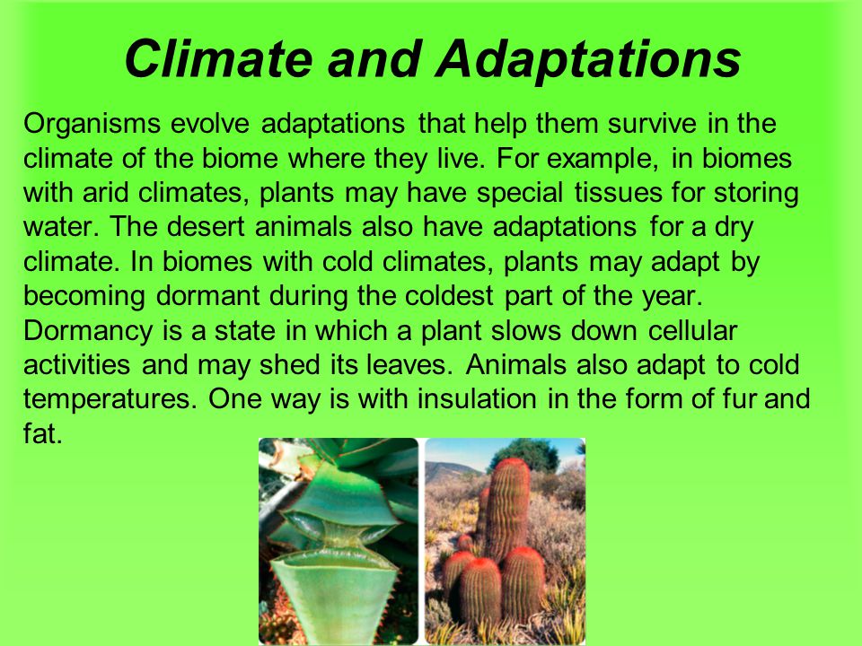 Climate and Adaptations