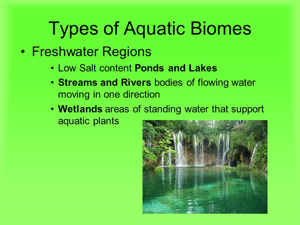 Types of Aquatic Biomes