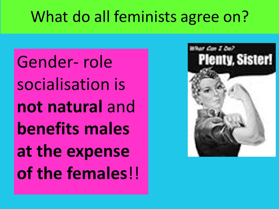 What do all feminists agree on
