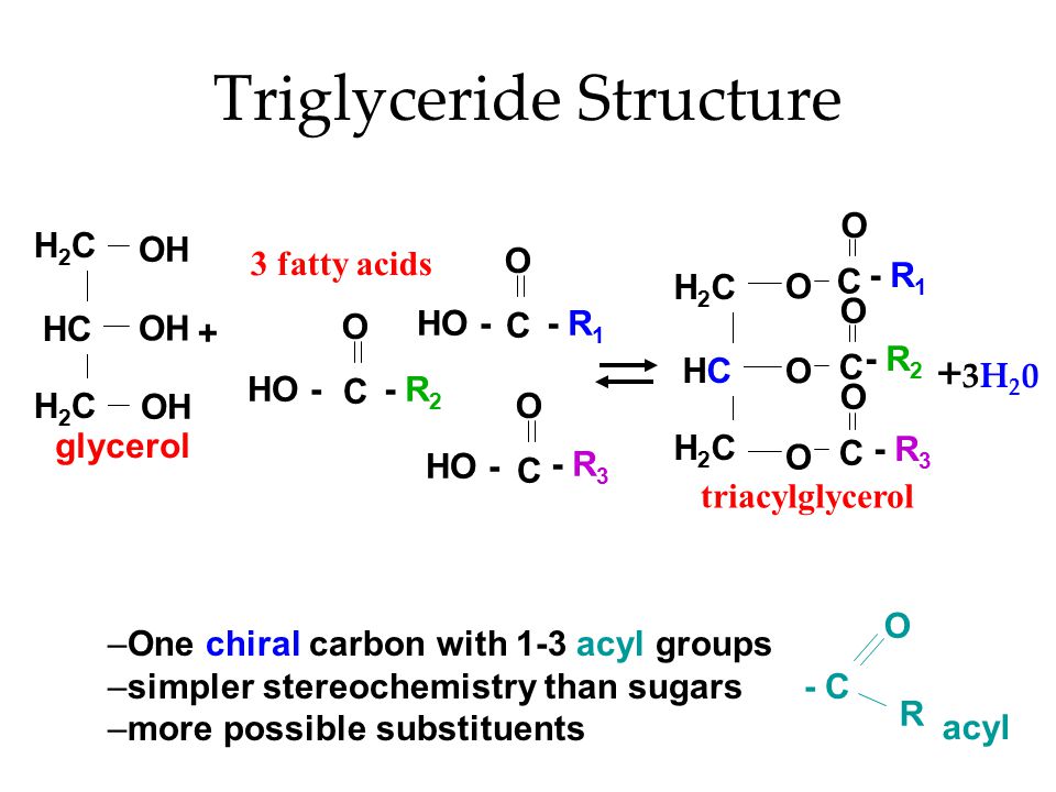 Triglyceride Structure