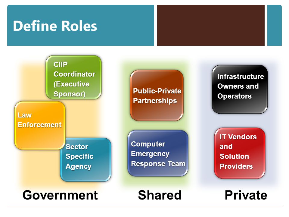Define Roles Government Shared Private