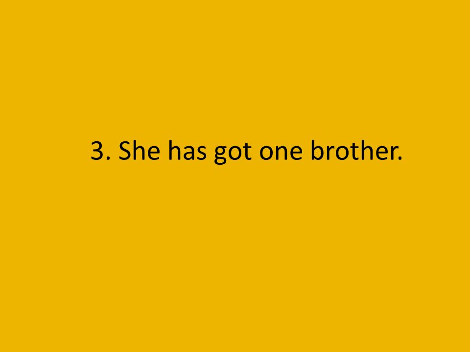 3. She has got one brother.