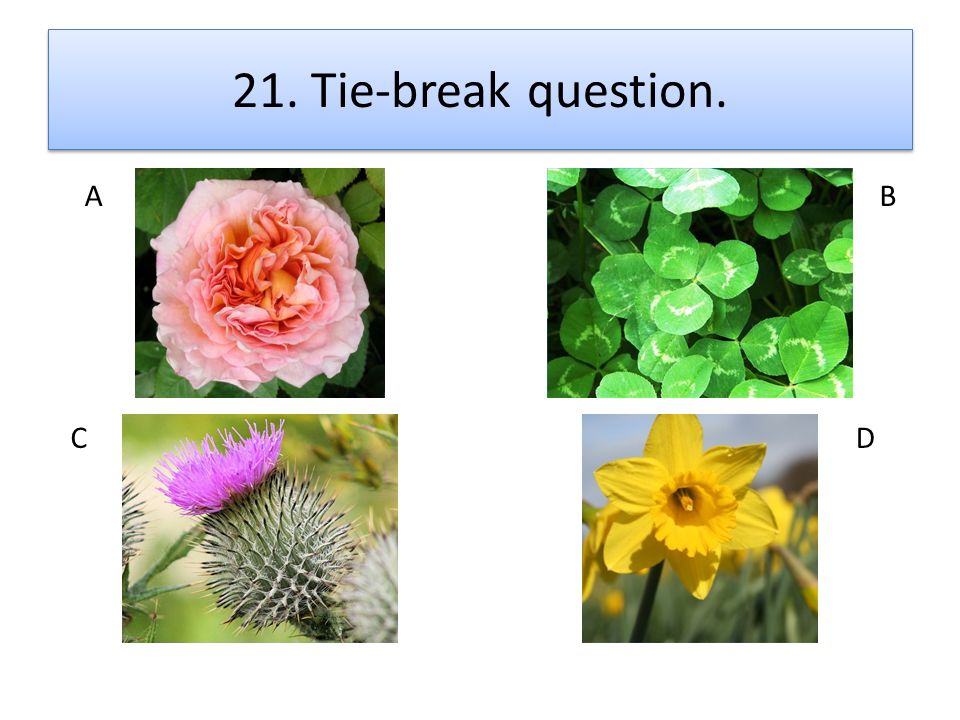 21. Tie-break question. A B C D
