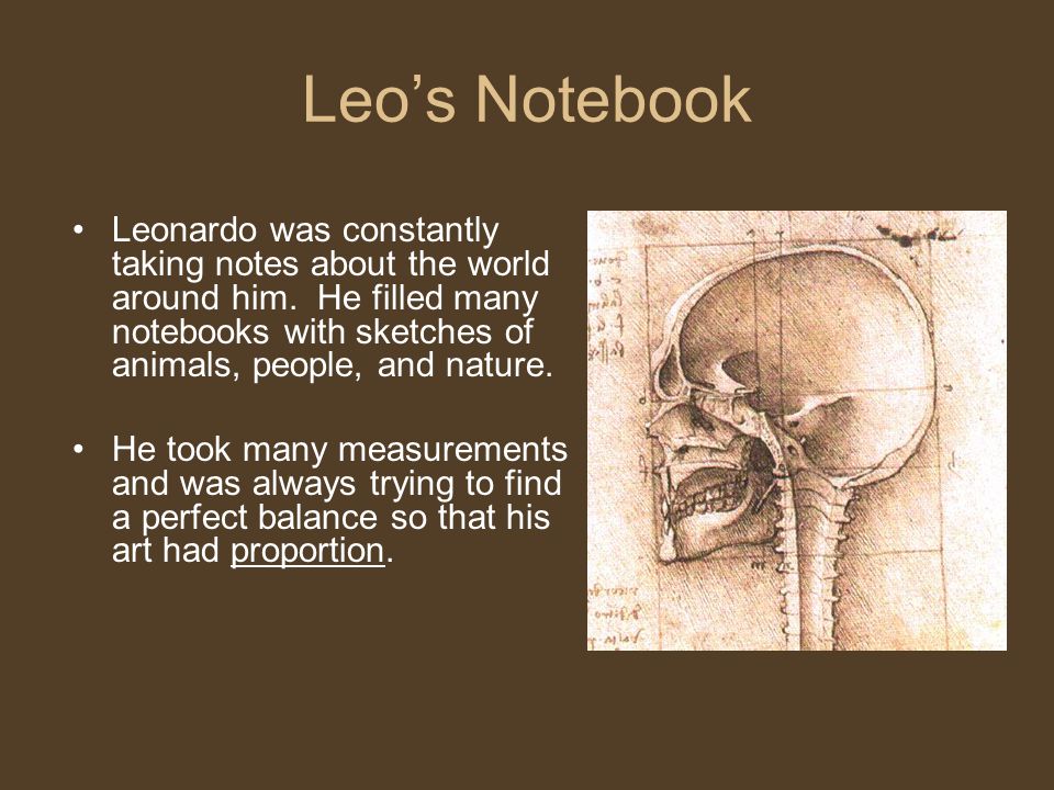 Leo’s Notebook