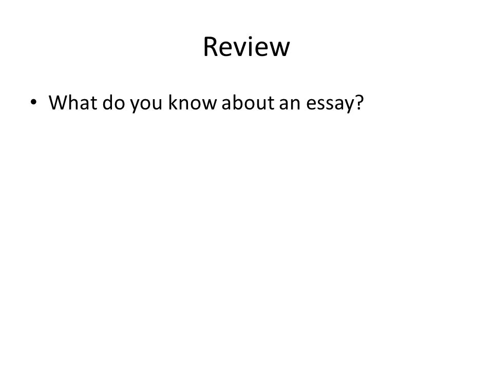 Review What do you know about an essay