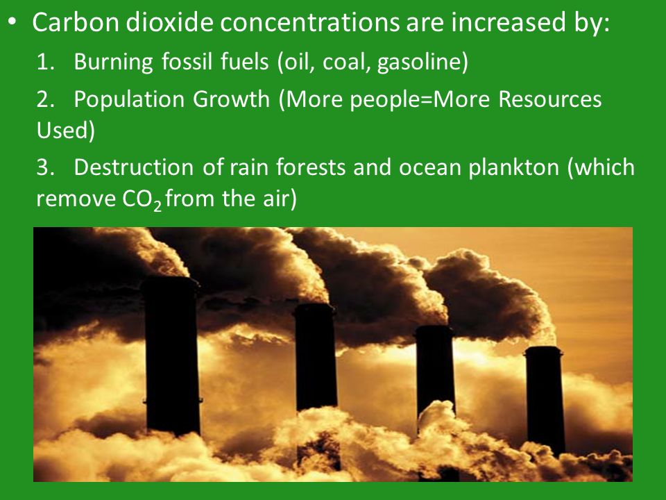 Carbon dioxide concentrations are increased by: