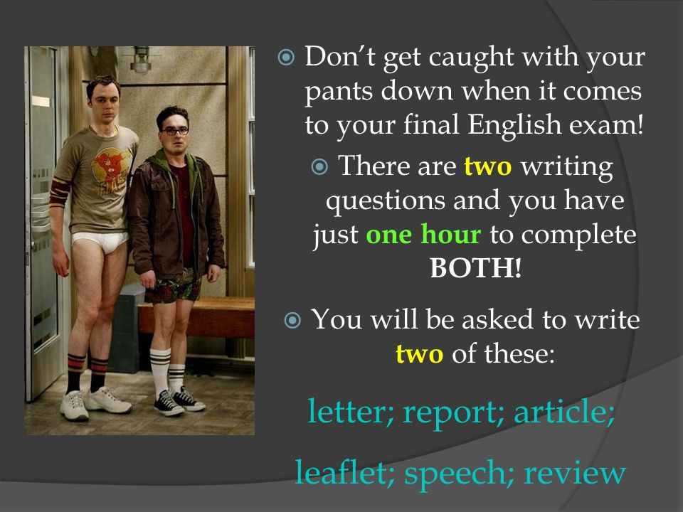 letter; report; article; leaflet; speech; review
