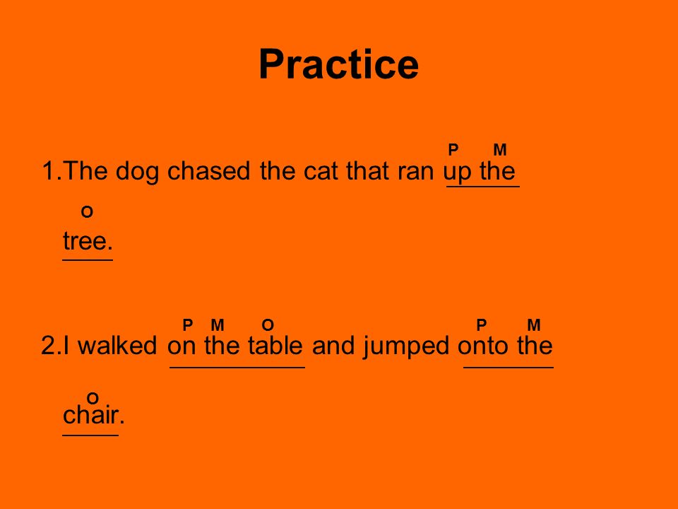 Practice 1.The dog chased the cat that ran up the tree.