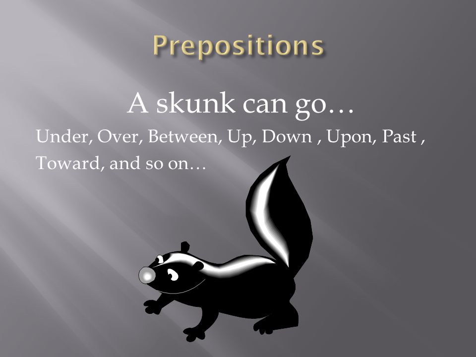 A skunk can go… Prepositions