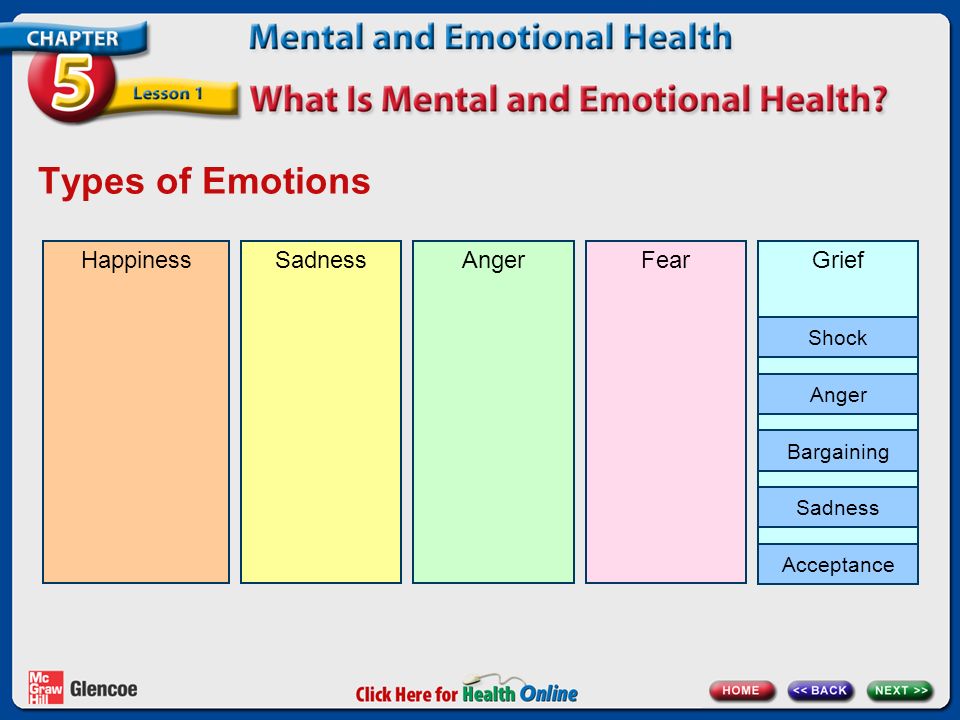 Types of Emotions Happiness Sadness Anger Grief Fear Shock Bargaining