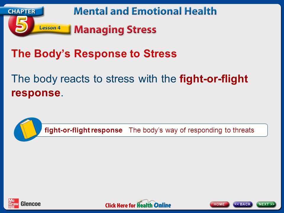 The Body’s Response to Stress