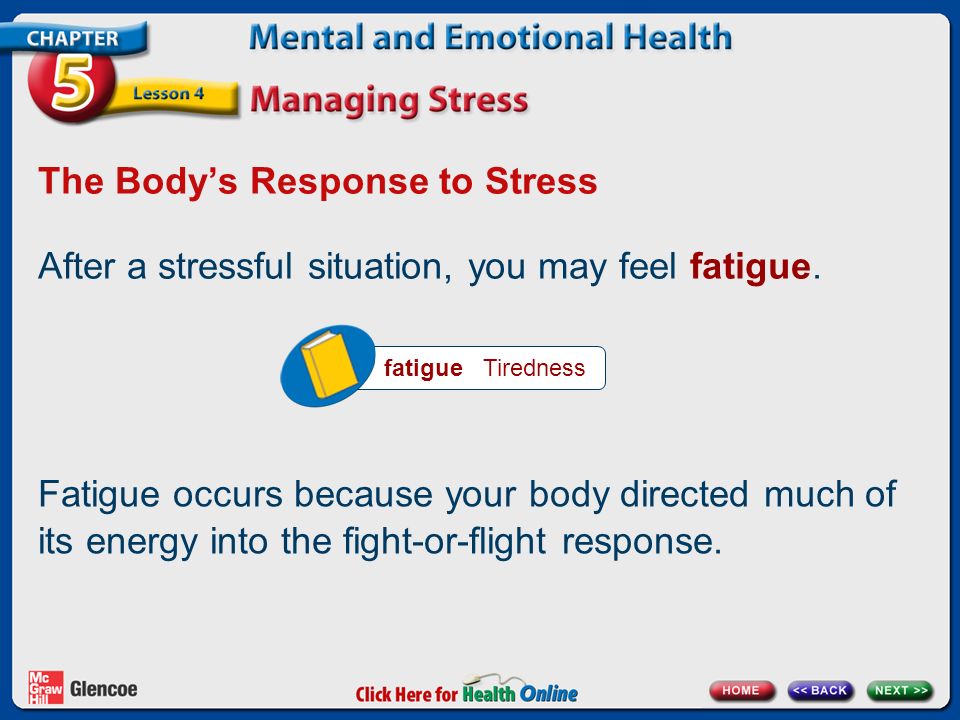 The Body’s Response to Stress