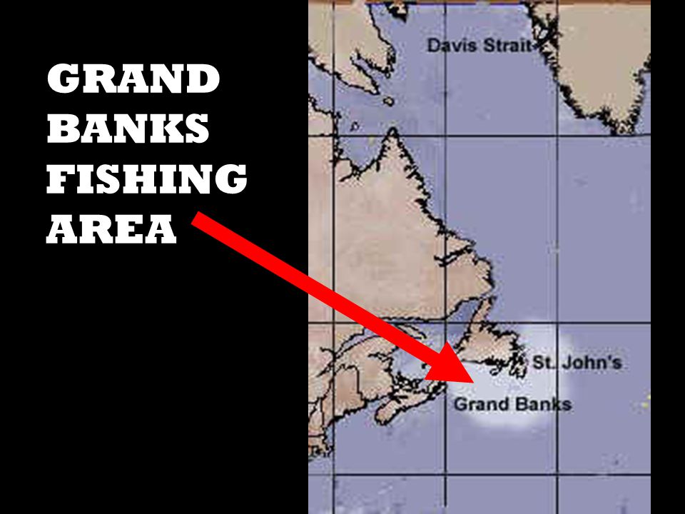 GRAND BANKS FISHING AREA