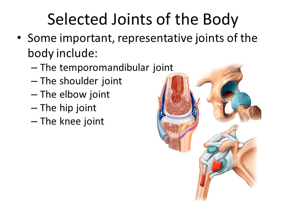 Selected Joints of the Body