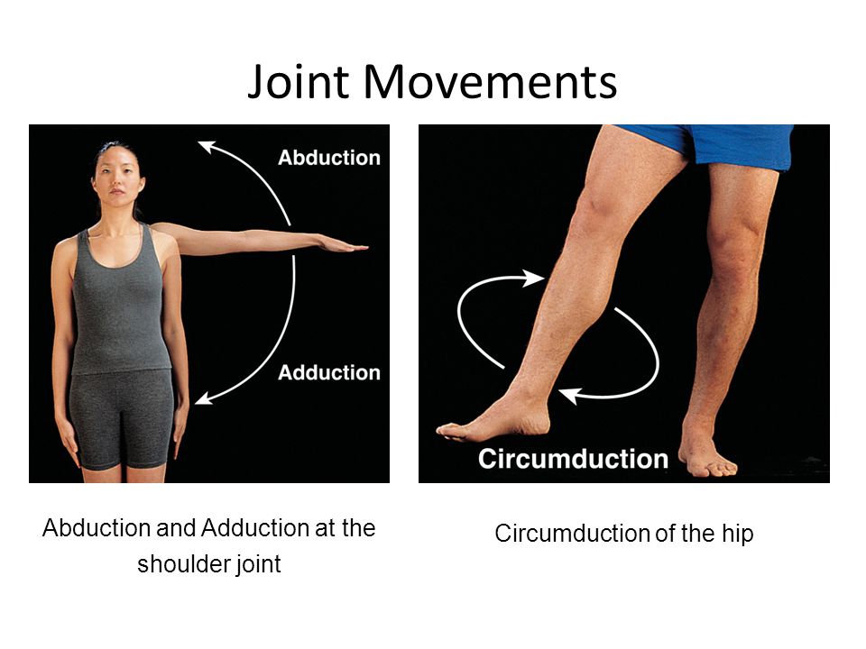 Joint Movements Abduction and Adduction at the shoulder joint
