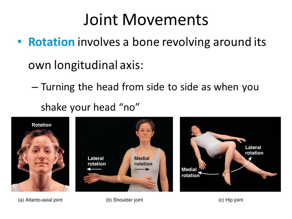 Joint Movements Rotation involves a bone revolving around its own longitudinal axis: