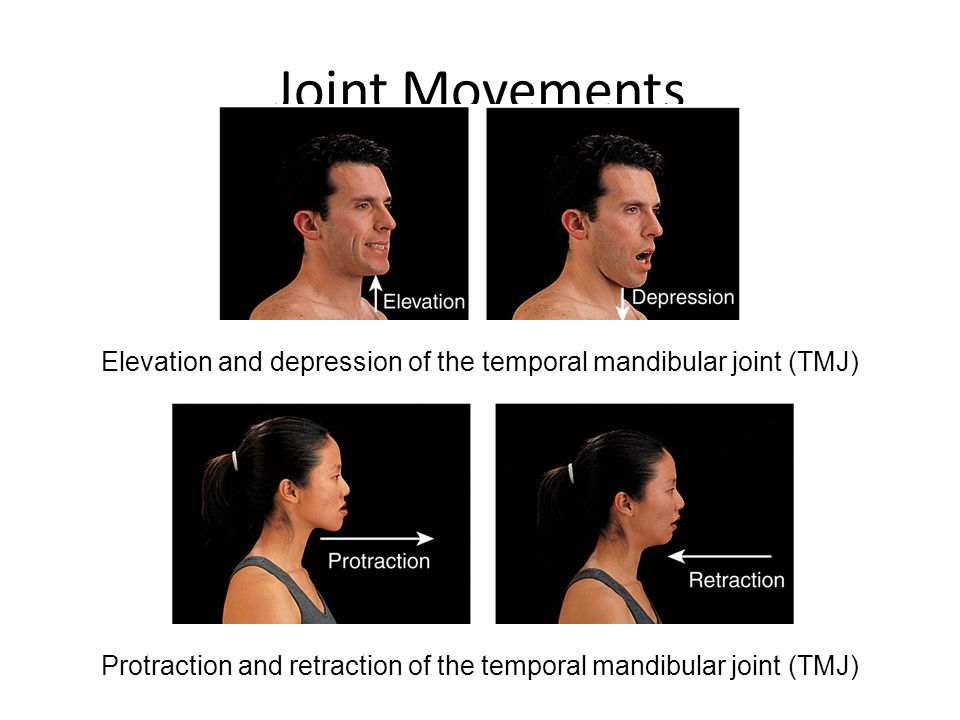 Joint Movements Elevation and depression of the temporal mandibular joint (TMJ) Protraction and retraction of the temporal mandibular joint (TMJ)