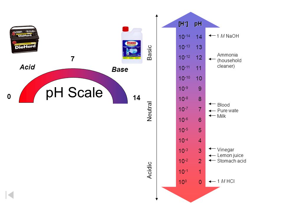 pH Scale 7 Acid Base 14 Acidic Neutral Basic [H+] pH