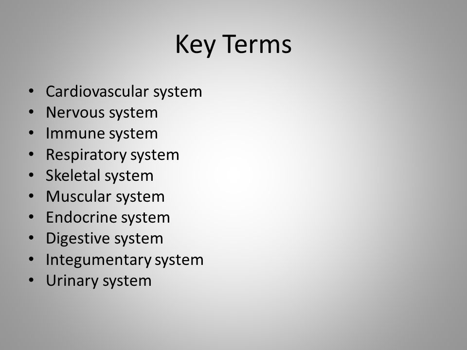Key Terms Cardiovascular system Nervous system Immune system
