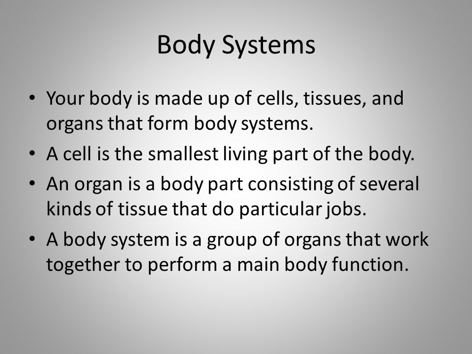 Body Systems Your body is made up of cells, tissues, and organs that form body systems. A cell is the smallest living part of the body.