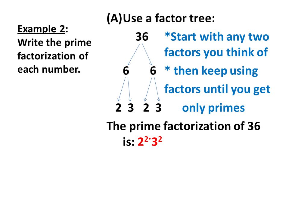 Example 2: Write the prime factorization of each number.