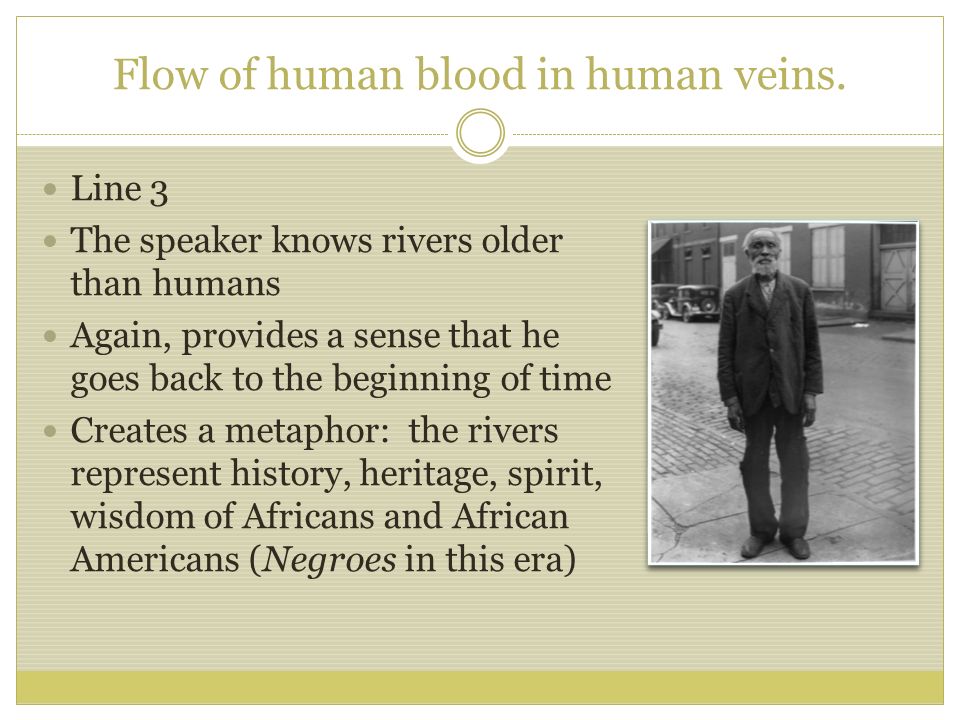 Flow of human blood in human veins.