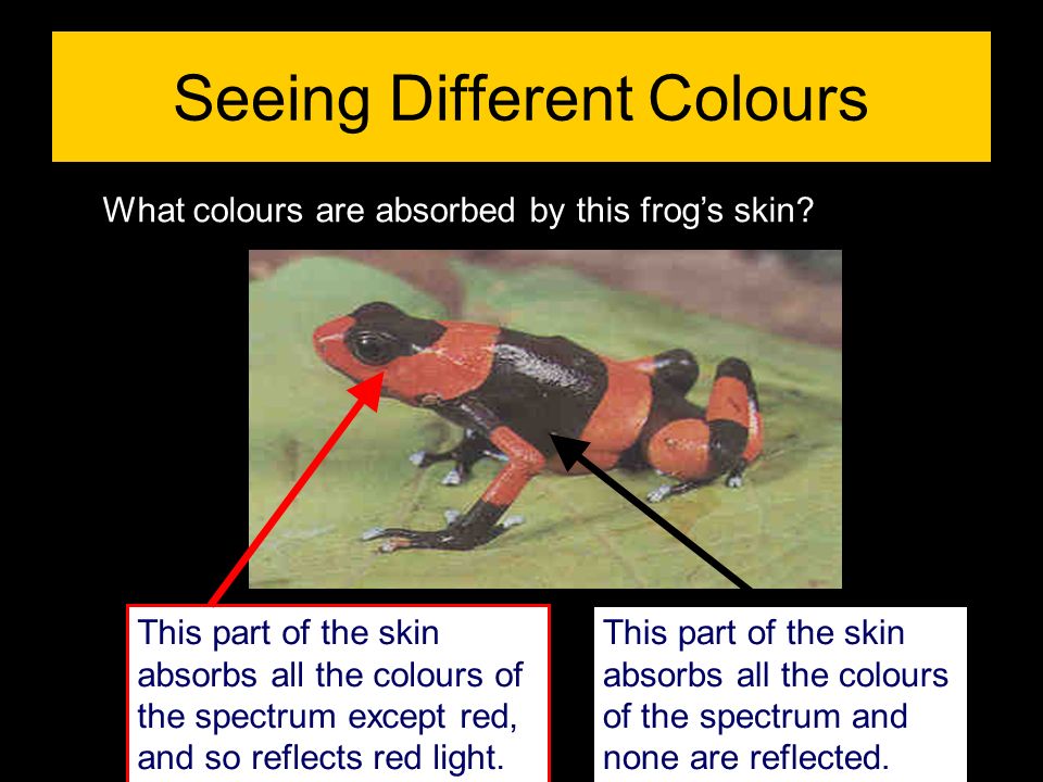 Seeing Different Colours