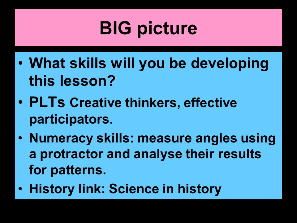 BIG picture What skills will you be developing this lesson