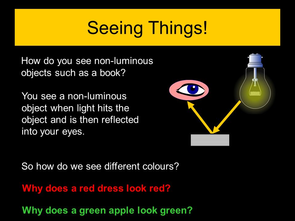 Seeing Things! How do you see non-luminous objects such as a book
