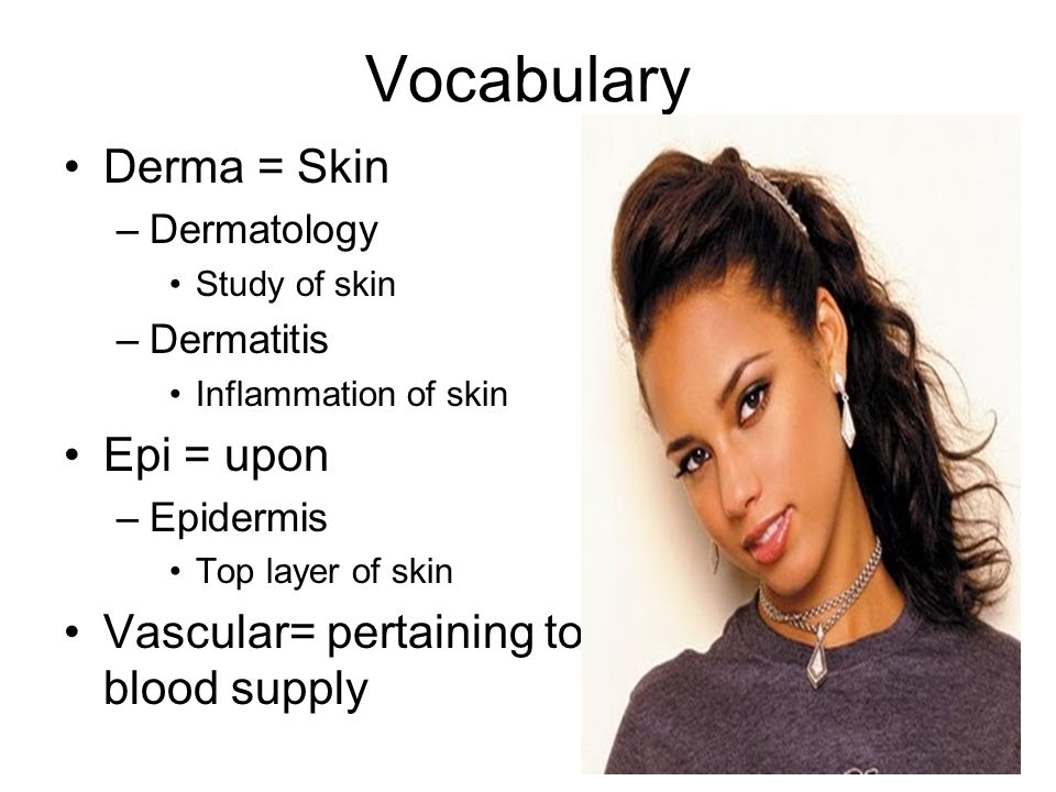 Vocabulary Derma = Skin Epi = upon