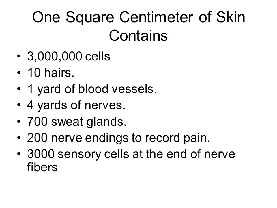 One Square Centimeter of Skin Contains