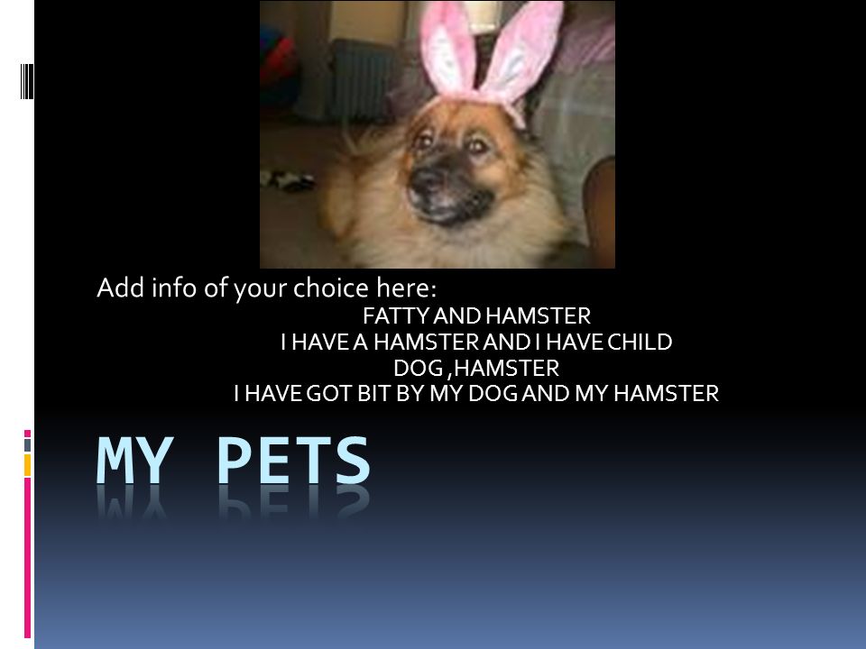 My Pets Add info of your choice here: FATTY AND HAMSTER