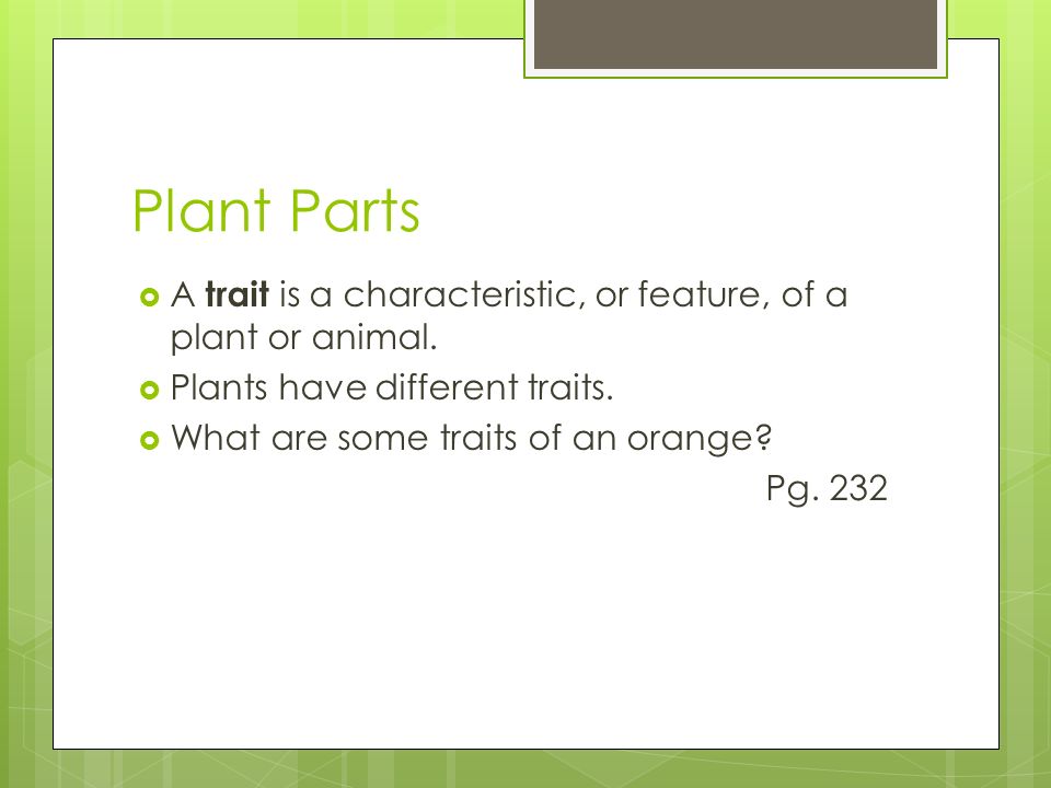 Plant Parts A trait is a characteristic, or feature, of a plant or animal. Plants have different traits.