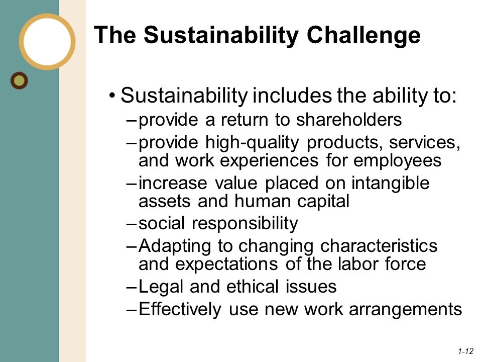 The Sustainability Challenge
