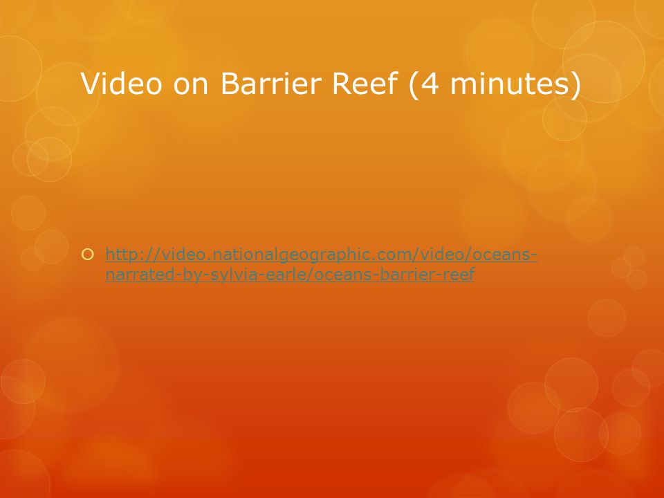 Video on Barrier Reef (4 minutes)