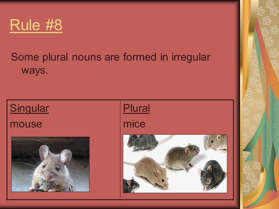 Rule #8 Some plural nouns are formed in irregular ways. Singular mouse