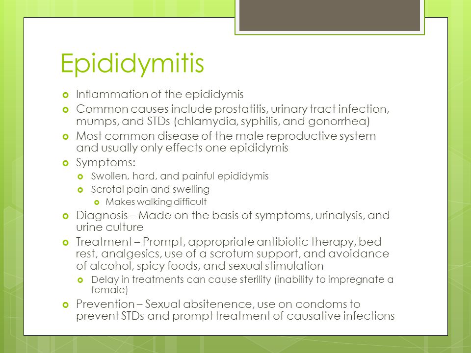 Epididymitis Inflammation of the epididymis