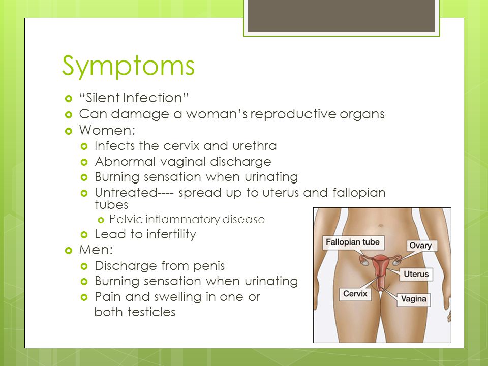 Symptoms Silent Infection Can damage a woman’s reproductive organs