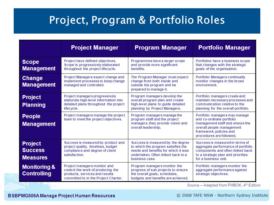 Project, Program & Portfolio Roles