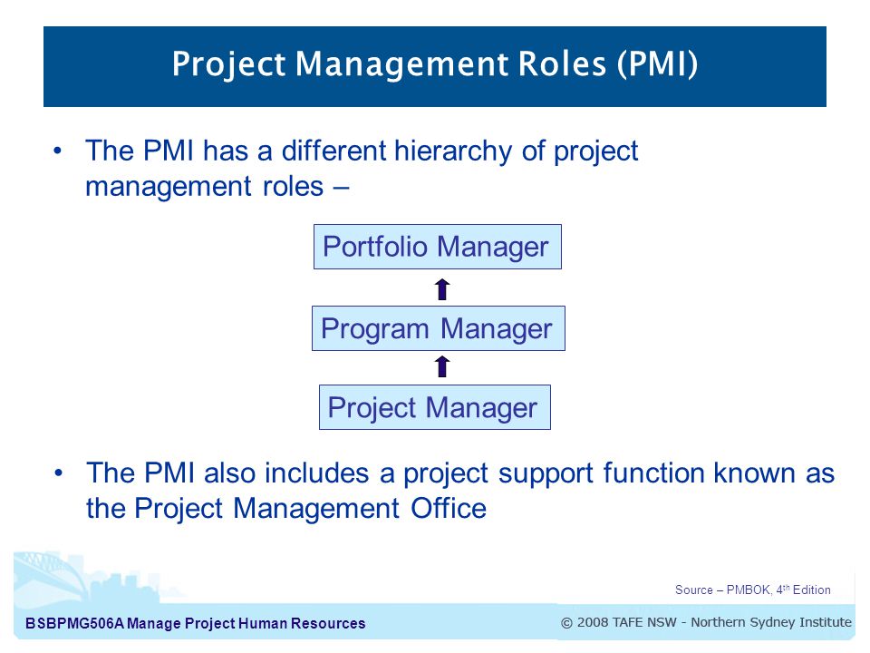 Project Management Roles (PMI)