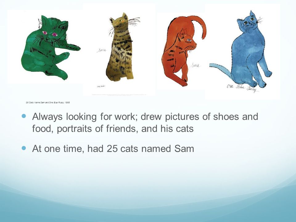At one time, had 25 cats named Sam