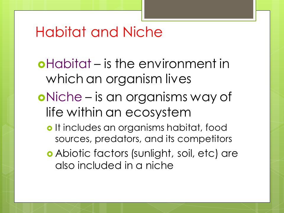Habitat and Niche Habitat – is the environment in which an organism lives. Niche – is an organisms way of life within an ecosystem.
