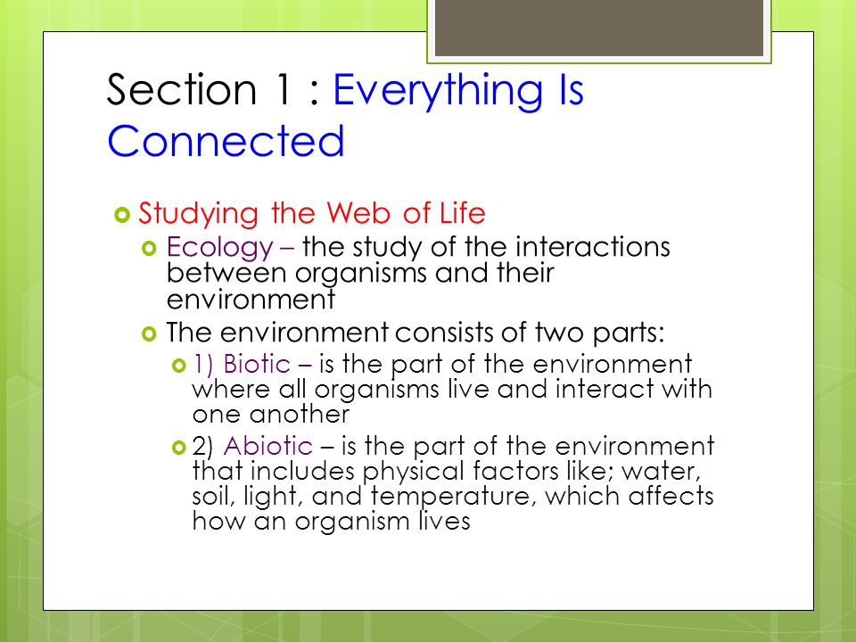 Section 1 : Everything Is Connected