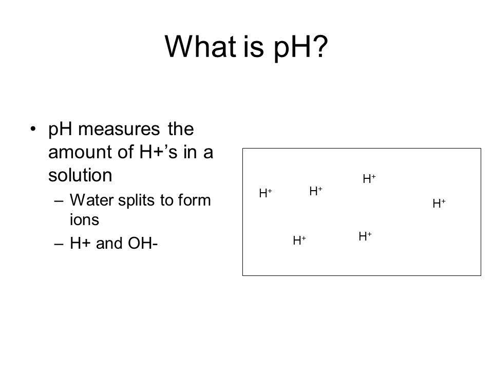 What is pH pH measures the amount of H+’s in a solution