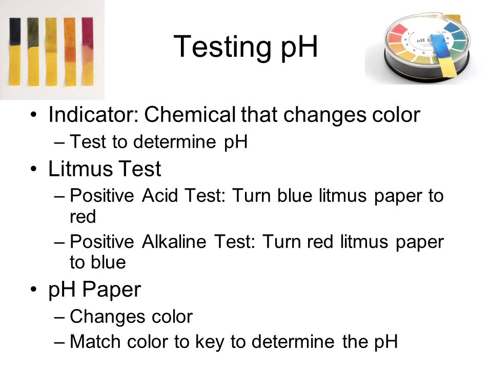 Testing pH Indicator: Chemical that changes color Litmus Test pH Paper
